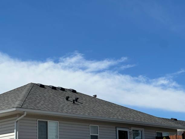 Best Roof Maintenance and Cleaning  in Columbia, CA